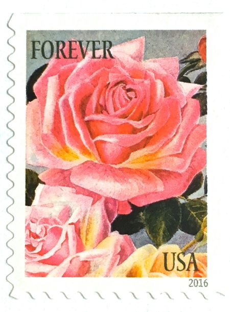 100 Pink Rose Forever Postage Stamps Unused Vintage Botanical Print Stamps For Mailing Wedding Invitations